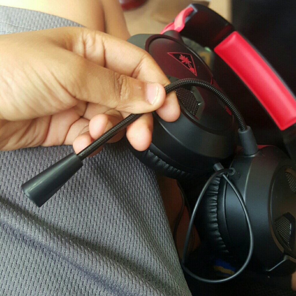 Turtle beaches - Picture 2 of 6